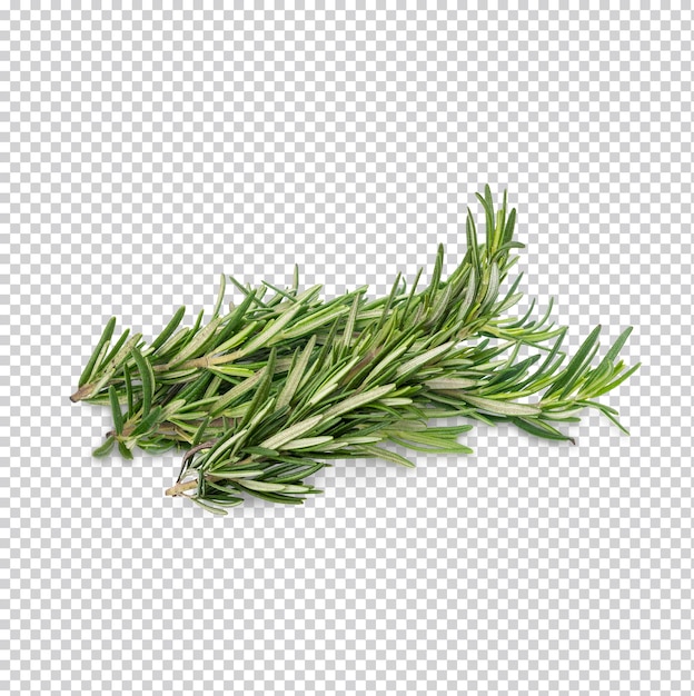 PSD rosemary isolated premium psd