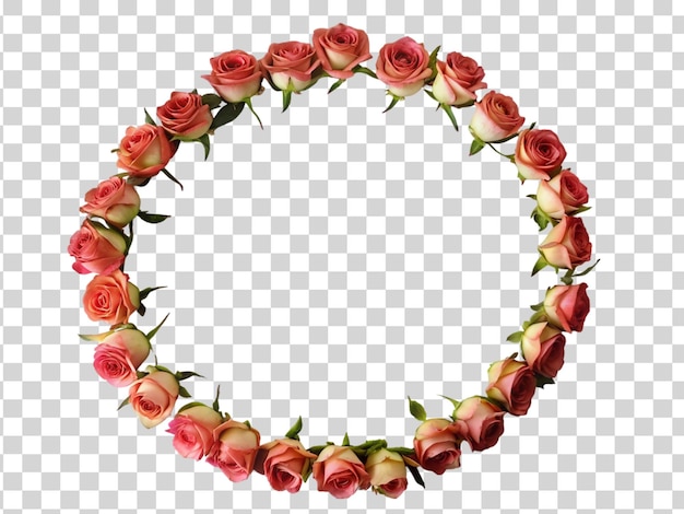 Circolo di rose isolato su uno sfondo trasparente
