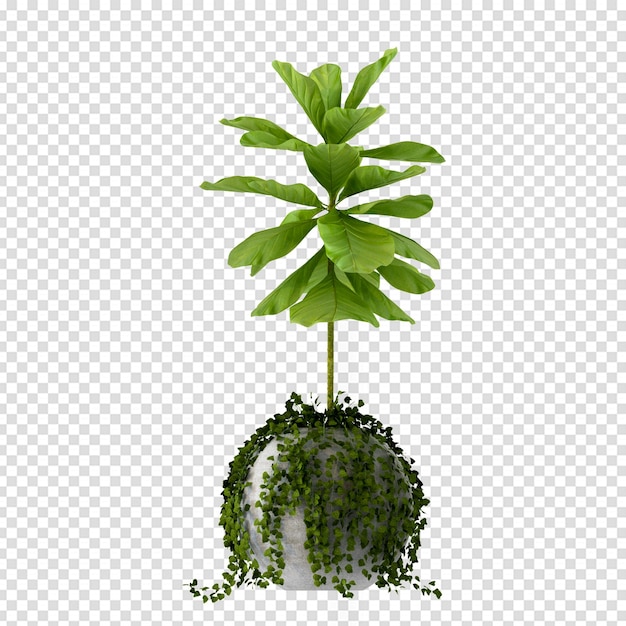 Roślin w doniczce w renderowaniu 3d na białym tle