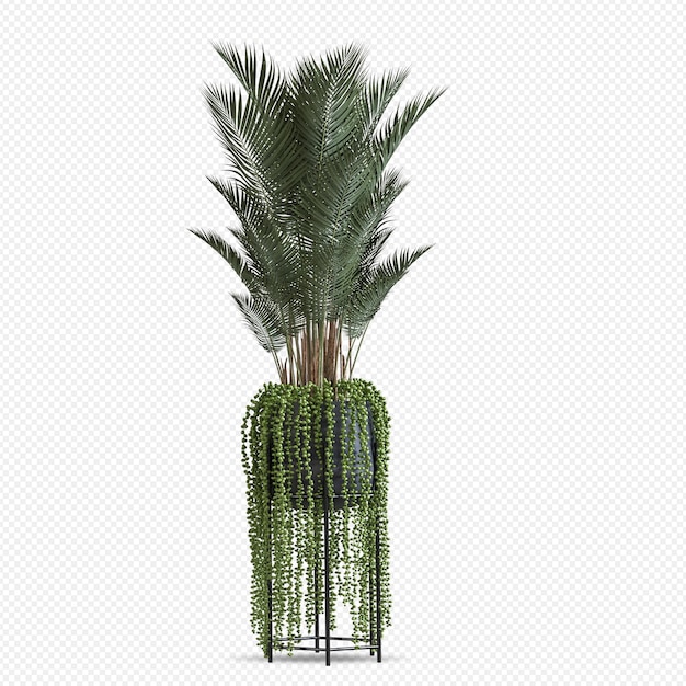 Roślin w renderowaniu 3d na białym tle