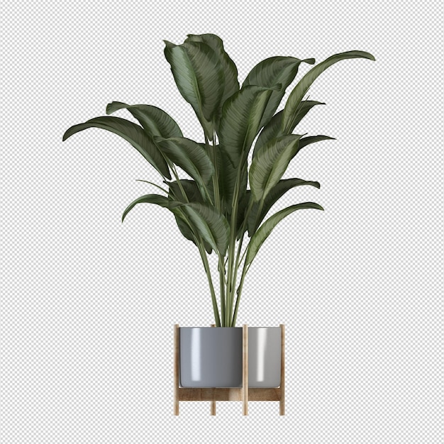 Roślina i w 3D rendering odizolowany