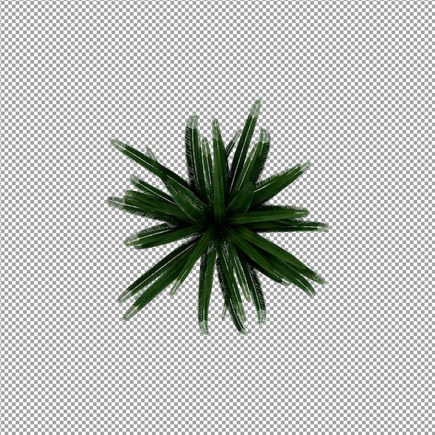 Roślina izolowana w renderowaniu 3d
