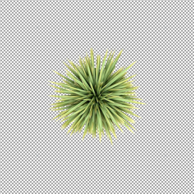 Roślina izolowana w renderowaniu 3d
