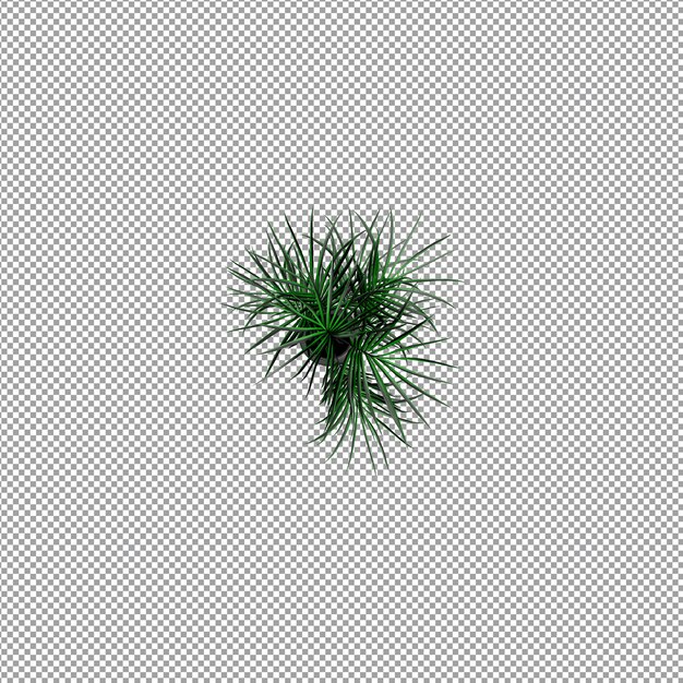 Roślina izolowana w renderowaniu 3d