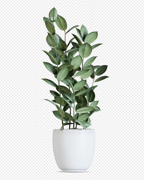 Roślina w garnku w renderingu 3D