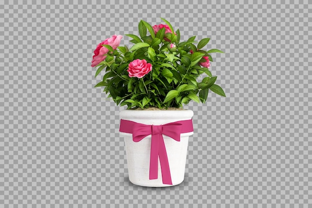 PSD roślina z kwiatem w renderowaniu 3d na białym tle