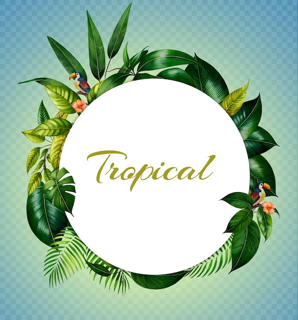 Round frame with tropical leaves and birds on transparent background