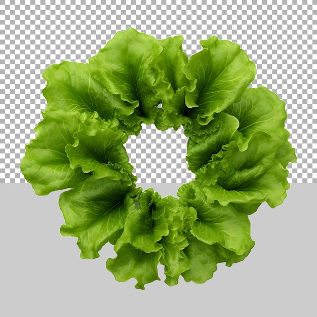 PSD 투명한 배경에 둥근 녹색 잎 채소 ai 생성