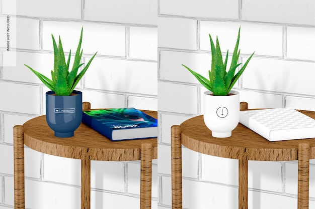 PSD round plant pot mockup