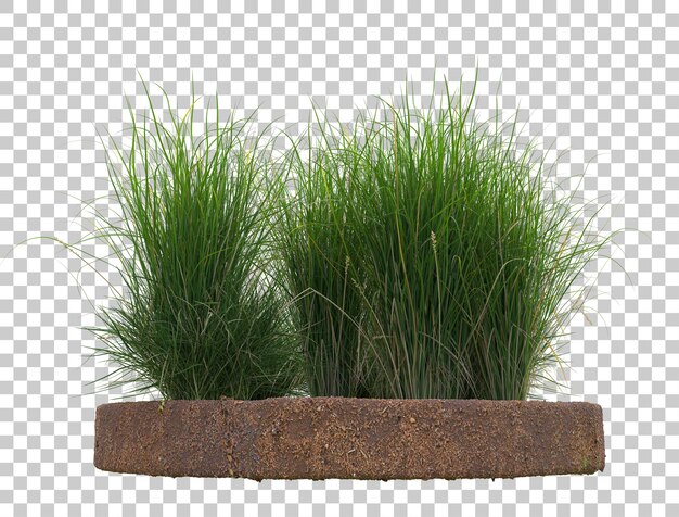 Round soil ground with grass on transparent background 3d rendering illustration