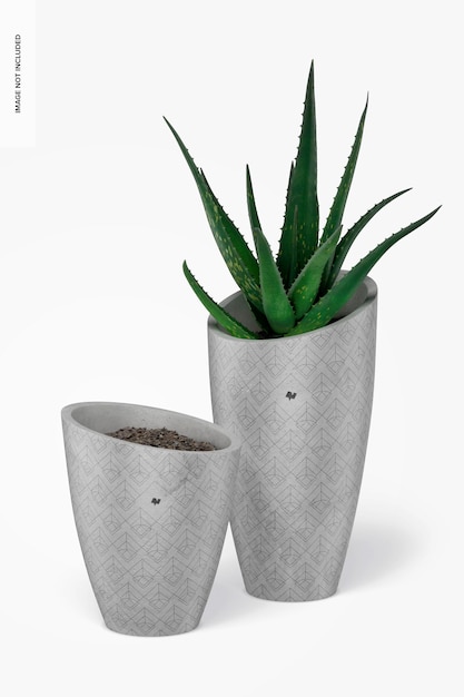 Round Tall Cement Pots Mockup, Front View