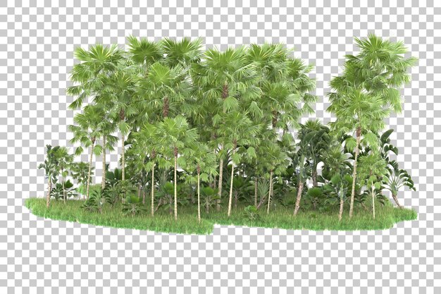 Premium PSD | A row of coconut trees with a single line of trees.