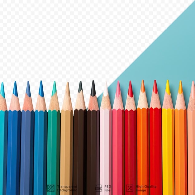 Una fila di matite colorate con il numero 1 in basso.