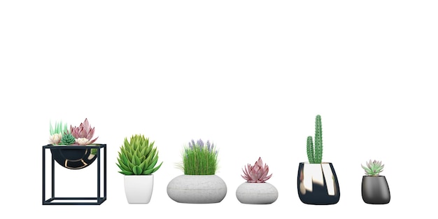 A row of different types of plants are lined up in a row.