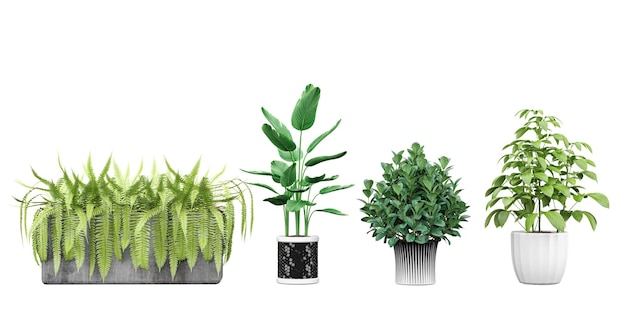 a row of plants with the words green on the bottom