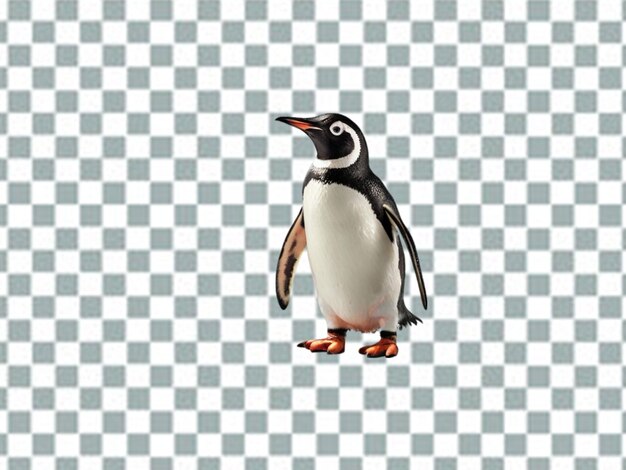 Pinguino reale realistico con con pulcini di uova e uccelli adulti su trasparente