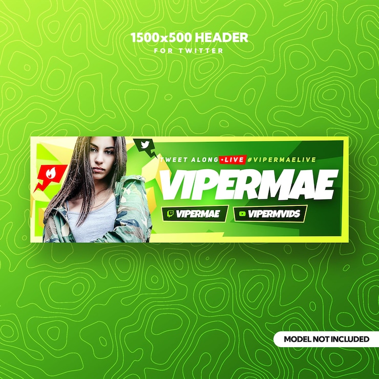 PSD шаблон баннера royale crown emerald twitter x gaming