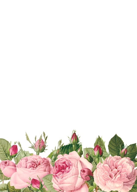 roze bloemen kader illustratie aquarel schilderij
