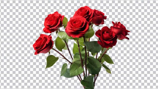 PSD roze bloemen png