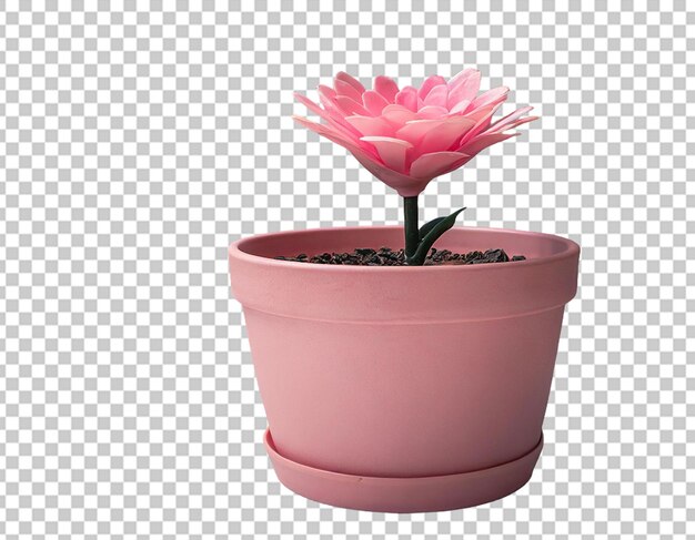 Roze plantenpot voor huisdecoratie