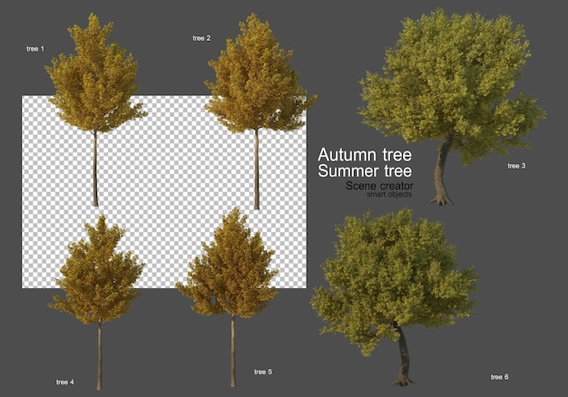Różne Rodzaje Drzew Jesiennych I Letnich