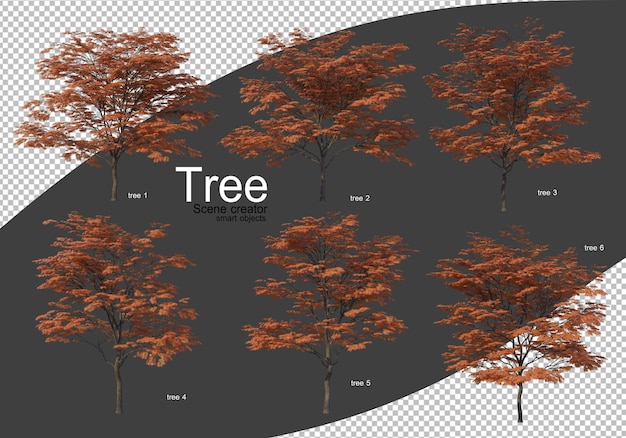 Różne rodzaje renderowania drzew Izolowane