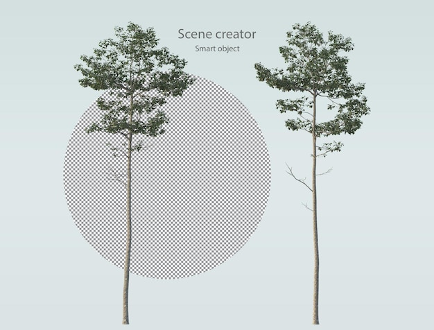 PSD różne rodzaje roślin drzewiastych krzewów i małych roślin izolowanych renderowania