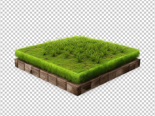 PSD rural farmland with green crops and trees and cross section isometric farm land with greenery