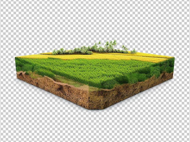 PSD rural farmland with green crops and trees and cross section isometric farm land with greenery