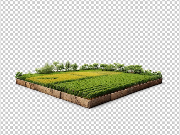 Rural farmland with green crops and trees and cross section isometric farm land with greenery