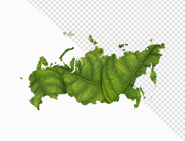 Russia map made of green leaves on isolated background ecology concept