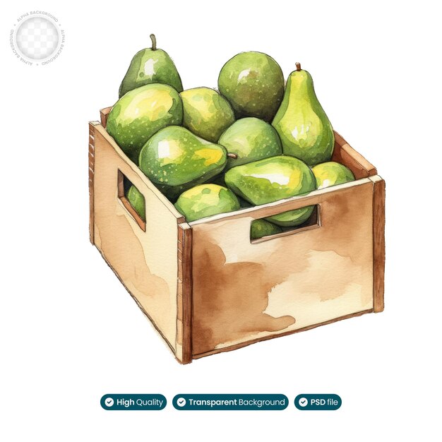 PSD rustic charm watercolor illustration of avocado crate