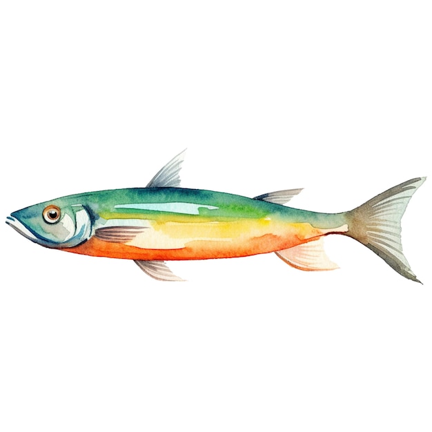 PSD ryba malowana akwarelą ręcznie rysowany element projektu świeżych owoców morza izolowany na białym tle