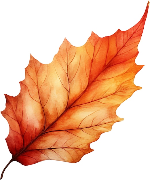 PSD rysunek liścia z kolekcji jesiennych liściilustracja artystyczna