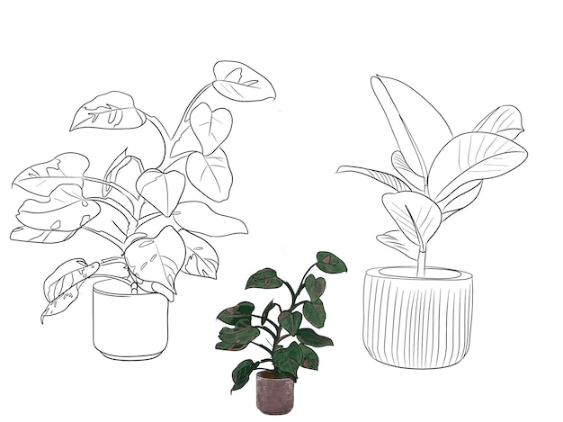 PSD rysunek rośliny z garnkiem z rośliną w nim