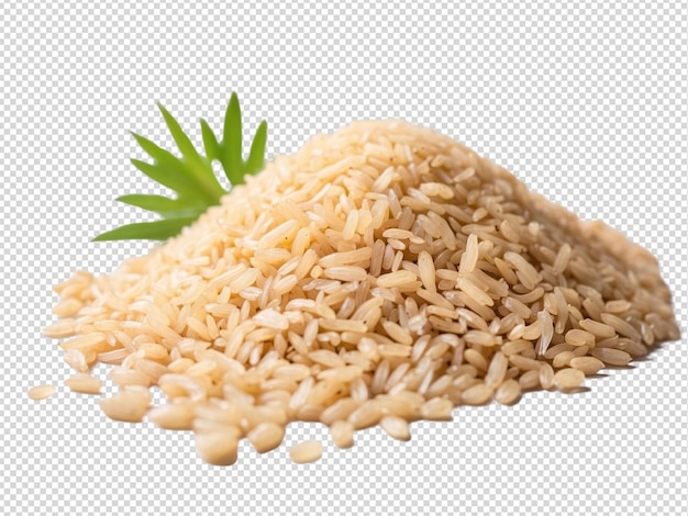 PSD ryż png