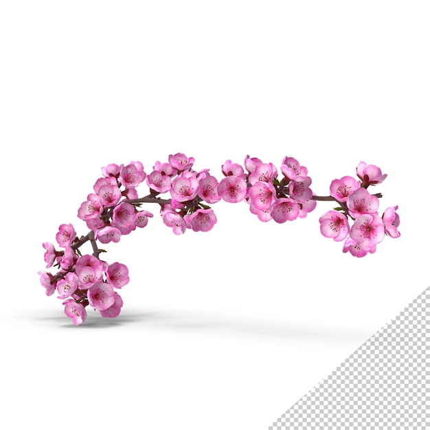 Sakura tree branch with pink flowers png