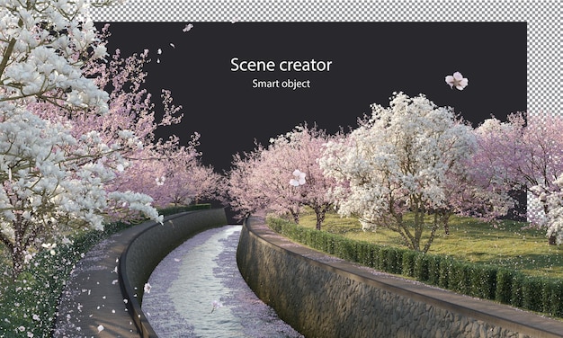 PSD 강 클리핑 경로를 따라 벚꽃 나무 절연 강에 벚꽃 나무