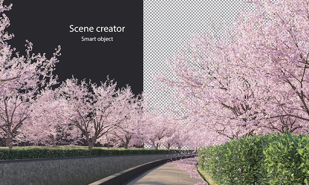 PSD sakura trees along a river clipping path cherry blossom trees on the river isolated