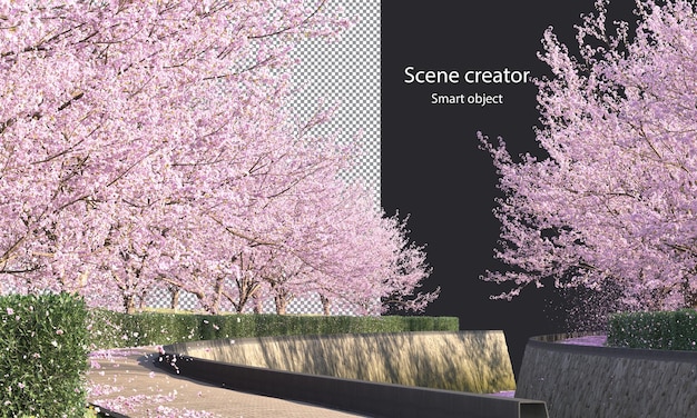 Sakura trees along a river clipping path Cherry Blossom trees on the river isolated