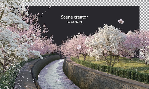 PSD sakura trees along a river clipping path cherry blossom trees on the river isolated