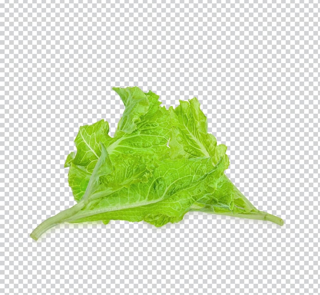 Salade blad. Sla geïsoleerd op een witte achtergrond Premium PSD