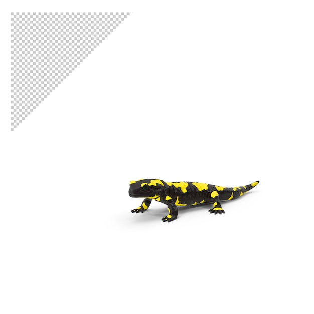 Salamandra png