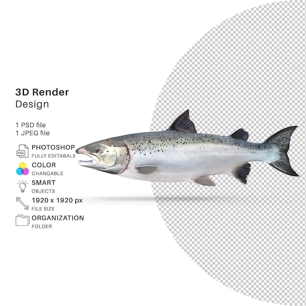 Salmon fish 3d render