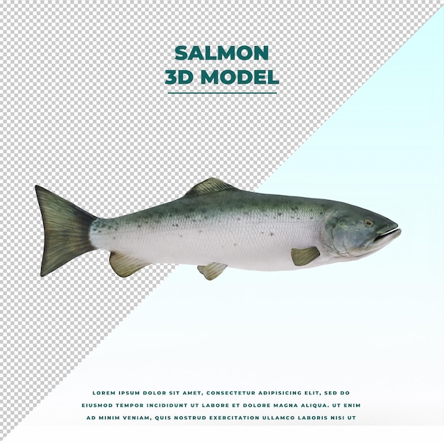 PSD salmon fish isolated