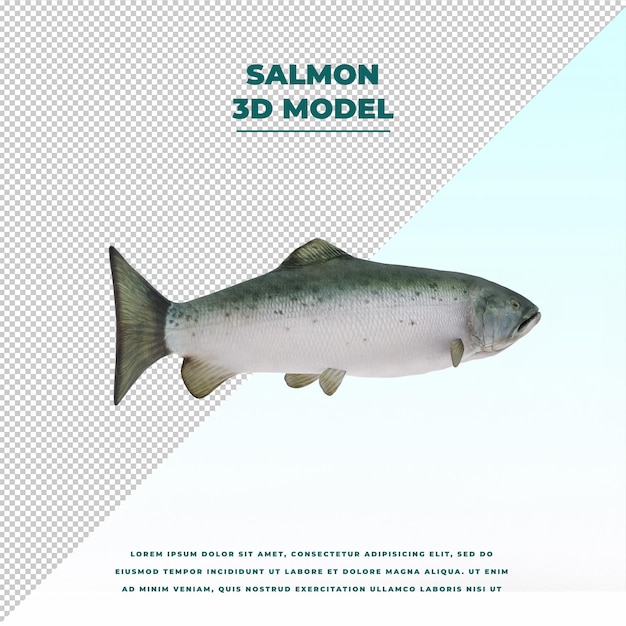 PSD salmon fish isolated