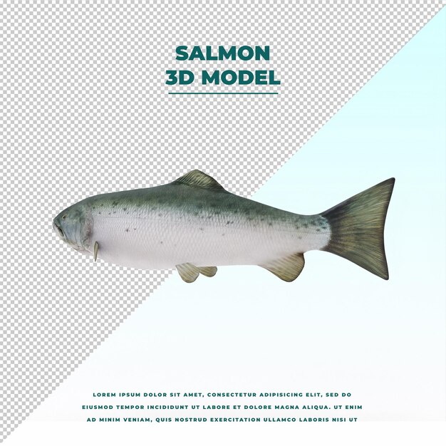 PSD salmon fish isolated