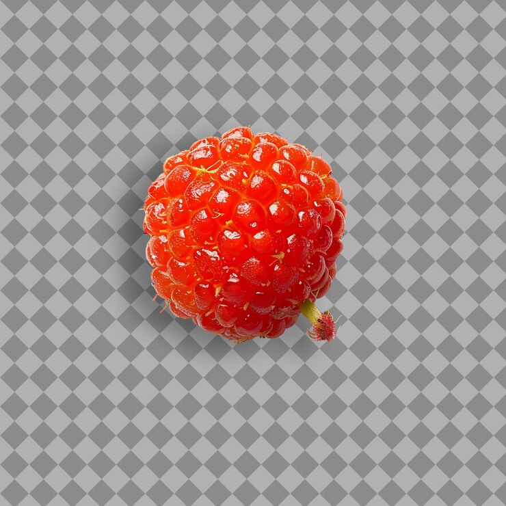 PSD salmonberry fruit with small and round shape and bright pink isolated fruit on clean background