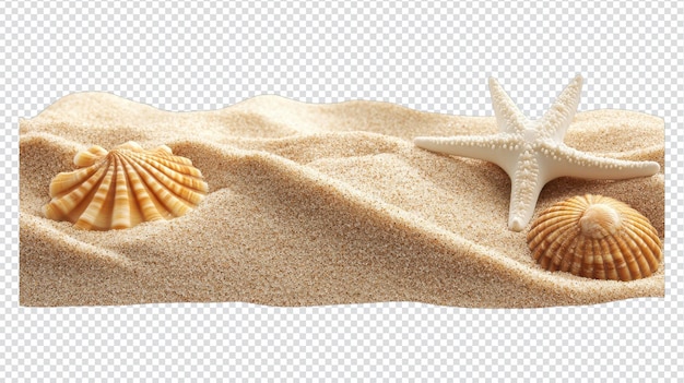 sand on the beach with a transparent background ideal for graphic design and summerthemed projects