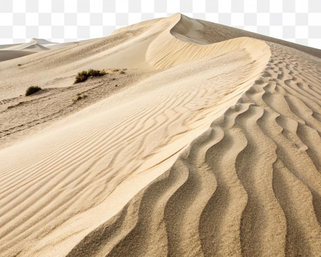 Sand Dune with Ripple Patterns in Desert Landscape